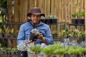 asiático jardinero es trabajando dentro el propagación estante mesa a guardería jardín centrar para suculento nativo y exótico planta cultivador foto
