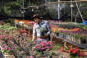 joven asiático jardinero es elegir floración planta desde el local jardín centrar guardería lleno de verano planta para fin de semana jardinería y al aire libre pasatiempo foto