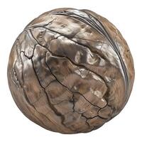 A large, round, metallic nut with a rough, tan, bronze silver cracked shell, surface. The whole, rip and raw walnut is on a transparent background. photo