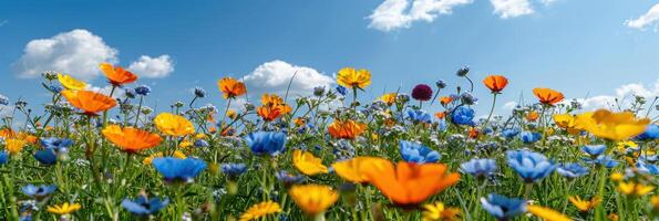 campo lleno con vibrante flores debajo claro azul cielo foto