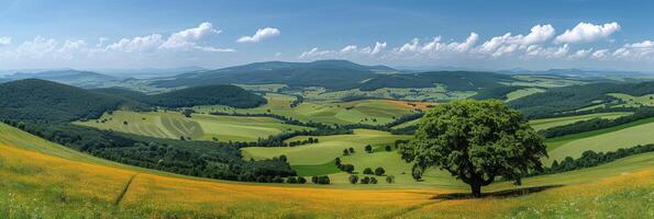 A tree stands in the center of a lush green field under the sky photo