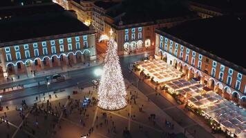 aéreo Visão em iluminado Natal árvore dentro Lisboa em comércio quadrado, video