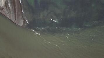 An aerial view of a spawning river with thousands of coho salmon swimming in it video