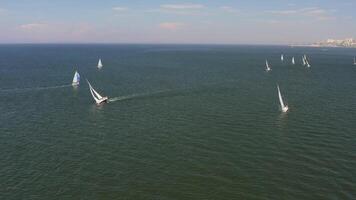 Regatta at sea. Yacht racing. Drone view video