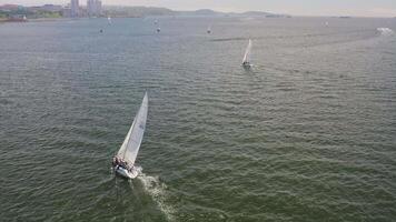 Regatta beim Meer. Yacht Rennen. Segeln Wettbewerbe. Drohne Aussicht video