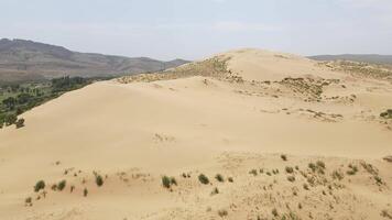 Sarykum is the largest sand dune in Europe. Dagestan nature reserve. Drone view video