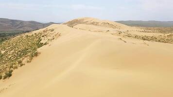 Sarykum is the largest sand dune in Europe. Dagestan nature reserve. Drone view video