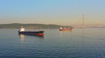 Dry cargo ship anchored at anchor against the backdrop of the bridge. Drone view video