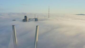 cime di il piloni di il d'oro ponte nel il alba nebbia nel vladivostok. aereo video