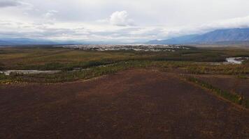 chara sandstrand är en tarmkanalen, som är en sandig massivet i de trans-baikal territorium video