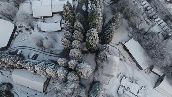 krasnaya Polyana Dorf, umgeben durch Berge bedeckt mit Schnee video