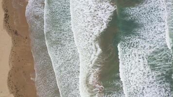 aereo Visualizza di il mare e sabbioso spiaggia nel il estate stagione dopo un' tempesta video