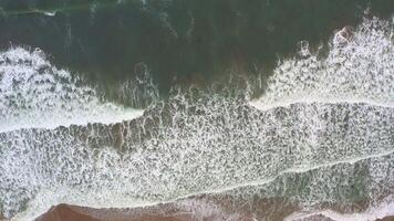 Antenne Aussicht von das Meer und sandig Strand im das Sommer- Jahreszeit nach ein Sturm video