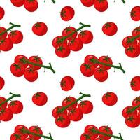 A pattern of juicy red tomatoes on a branch and separately. It is suitable for culinary graphics, commercials at farmers' markets, postcards with recipes, and indication of ingredients. Packaging vector