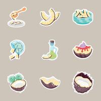 Set of Coconut Flat Style Stickers vector