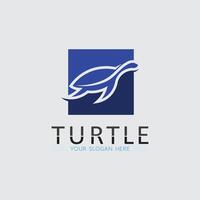 Turtle animal cartoon icon vector