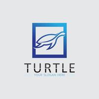 Turtle animal cartoon icon vector