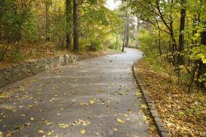 hermosa naturaleza otoño paisaje. paisaje ver en otoño ciudad parque con dorado amarillo follaje en nublado día foto