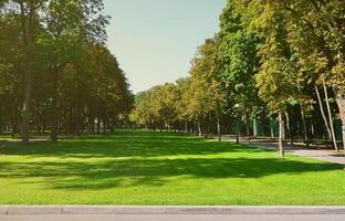 Green and orange trees in beautiful park. Floral and natural autumn landscape photo