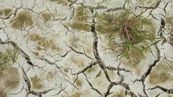 Cracked soil, a rice field that experiences cracks during the dry season photo