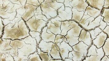 Cracked soil, a rice field that experiences cracks during the dry season photo