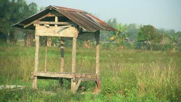 A small hut in the middle of rice fields that farmers usually use to rest from the sun photo