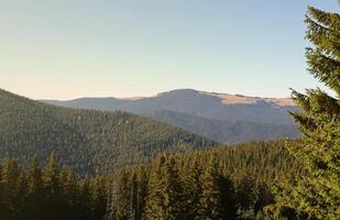 Mount Hoverla hanging peak of the Ukrainian Carpathians against the background of the sky photo