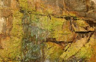 Waterfall among stones and trees. Close-up of boulders in water. Huge stones in green moss. Beautiful landscape of fast waterfall with small whirlpools photo