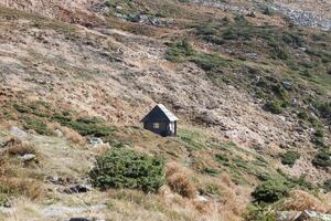 Single wooden hut on hilly mountains terrain with fir trees and rough relief. Coniferous forest in the foreground. Tourism, travel photo