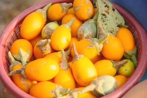 Fresh yellow eggplant stored in a red bowl photo