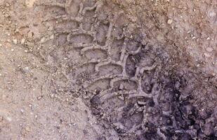 Wheel track on mud. Traces of a tractor or heavy off-road car on brown mud in wet meadow photo