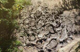 Foot mark on the jungle trail. Shoe prints on wet gravel or mud in mountain area photo