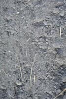 Humus or top soil that is loose and ready for farmers to plant photo