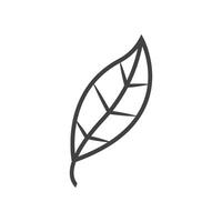 Herb leaf pharmachy icon vector