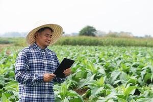 Asian man gardener is at garden, wears hat, plaid shirt, holds smart tablet to inspect growth and diseases of plants. Concept, agriculture inspection, study survey and research to develop crops. photo