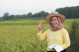 Asian woman farmer is at paddy field, wears hat, yellow shirt, holds notebook paper, inspects growth and disease of plants. Concept, Agriculture research and study to develop crop photo