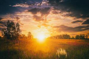 puesta de sol o amanecer en un campo con salvaje altramuces y flores silvestres y dramático nublado cielo en Hora de verano. Clásico película estético. foto