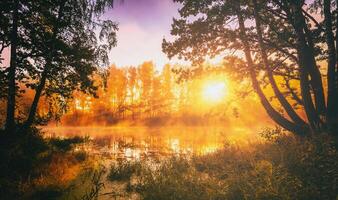 Dawn on a lake or river with a sky reflected in the water, birch trees on the shore and the sunbeams breaking through them and fog in autumn. Aesthetics of vintage film. photo