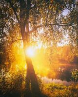 Dawn on a lake or river with a sky reflected in the water, birch trees on the shore and the sunbeams breaking through them and fog in autumn. Aesthetics of vintage film. photo