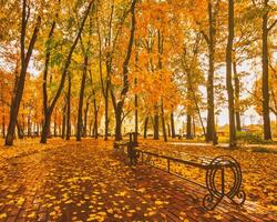 Golden autumn in a city park with trees and fallen leaves on a cloudy day. Vintage film aesthetic. photo