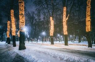 invierno parque a noche con Navidad decoraciones, brillante linternas y arboles cubierto con nieve. Clásico película estético. foto