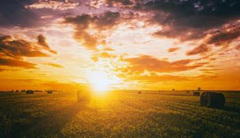 Sunset in a field with haystacks on a summer or early autumn evening with a cloudy sky in the background. Procurement of animal feed in agriculture. Vintage film aesthetic. photo