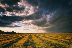 Sunset at cultivated land in the countryside on a summer evening with cloudy sky background. Vintage film aesthetic. photo