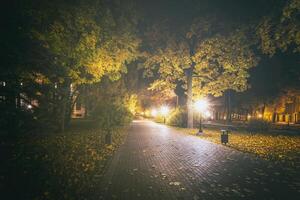 Night park in autumn with fallen yellow leaves.City night park in golden autumn with lanterns, fallen yellow leaves and maple trees. Vintage film aesthetic. photo