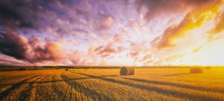 puesta de sol en el campo con pajar en otoño estación. rural paisaje con nublado cielo antecedentes en un soleado noche. Clásico película estético. foto