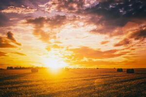 Sunset on the field with haystacks in Autumn season. Rural landscape with cloudy sky background in a sunny evening. Vintage film aesthetic. photo