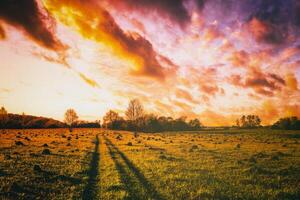 puesta de sol o amanecer en un primavera campo con verde césped, sauce arboles y nublado cielo. Clásico película estético. foto