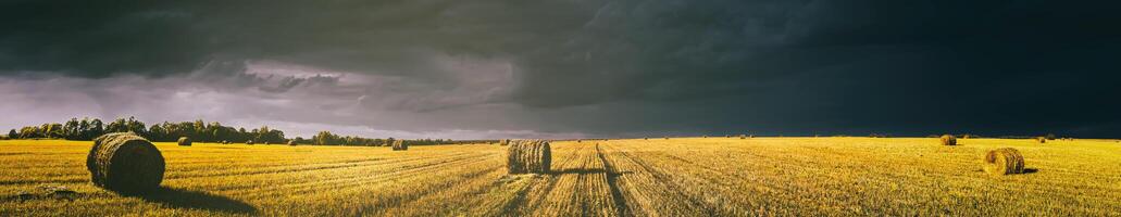 A field of a haystacks on an autumn day, illuminated by sunlight, with rain clouds in the sky. Vintage film aesthetic. Panorama. photo