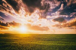 Sunset or dawn in a rye or wheat field with a dramatic cloudy sky during summertime. Aesthetics of vintage film. photo