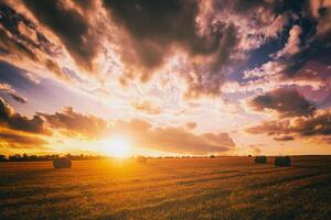 Sunset on the field with haystacks in Autumn season. Rural landscape with cloudy sky background in a sunny evening. Vintage film aesthetic. photo